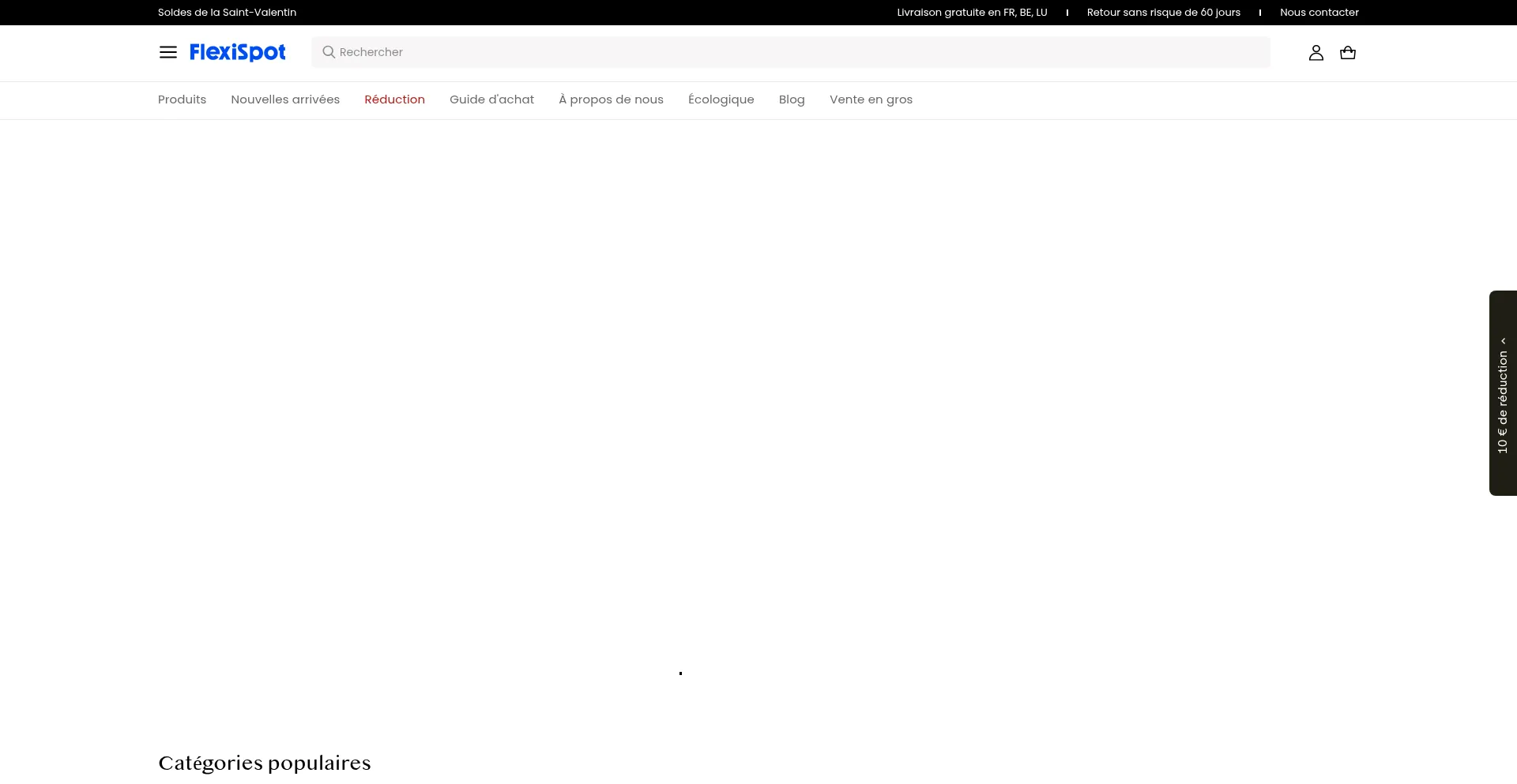 Website screenshot of Flexispot.fr