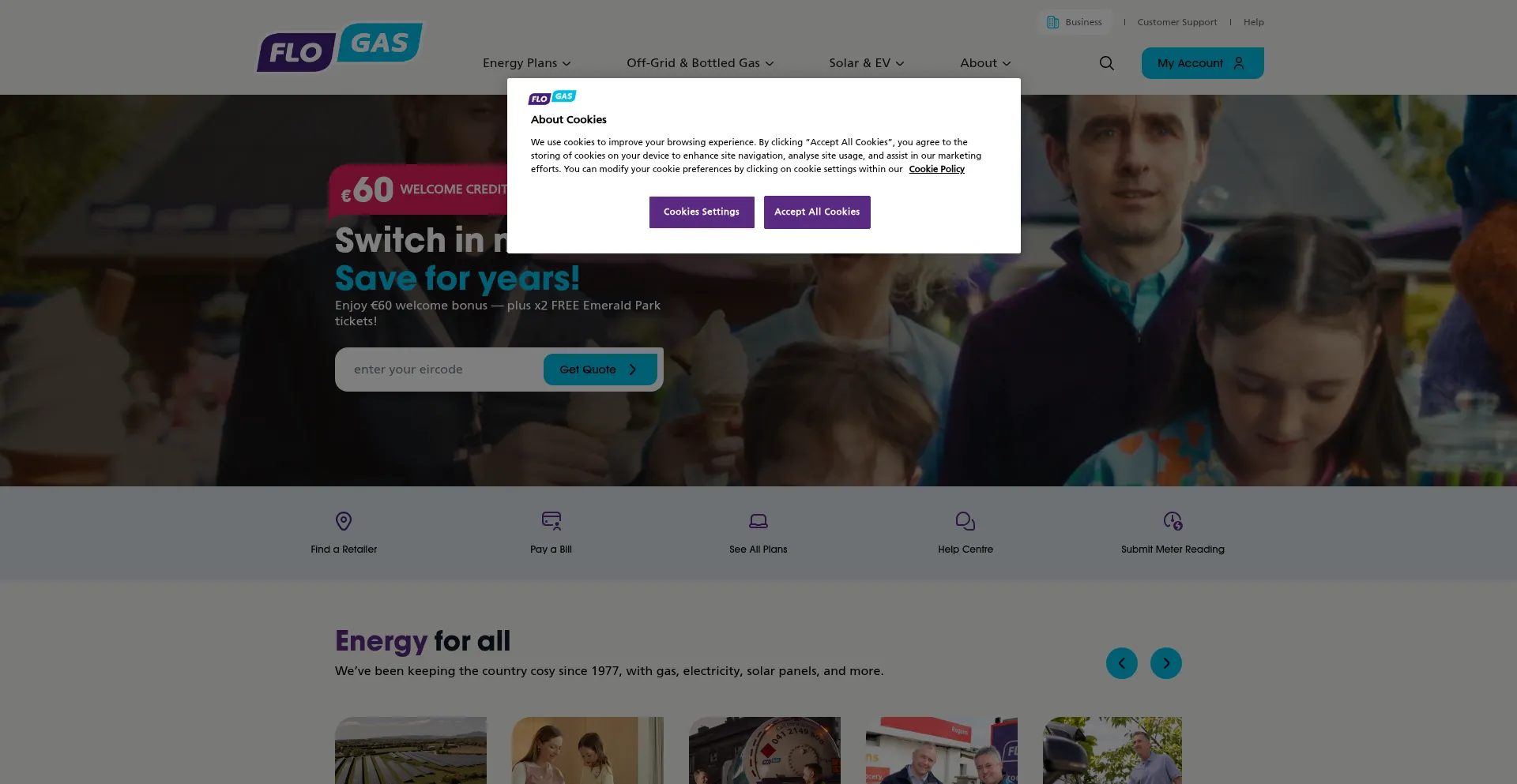 Website screenshot of Flogas.ie