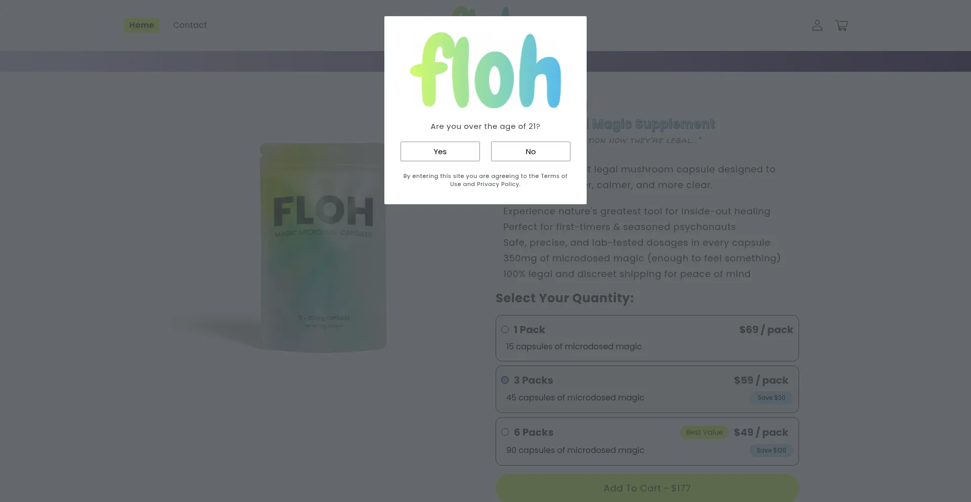 Website screenshot of Floh.co