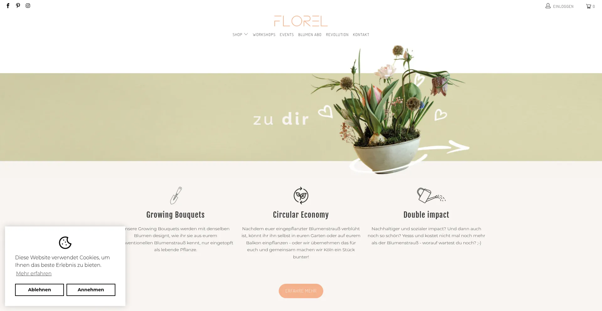 Website screenshot of Florel.de