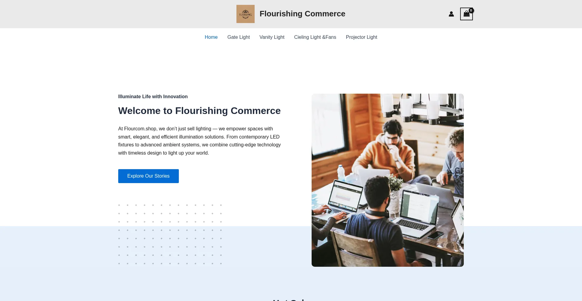 Website screenshot of Flourcom.shop