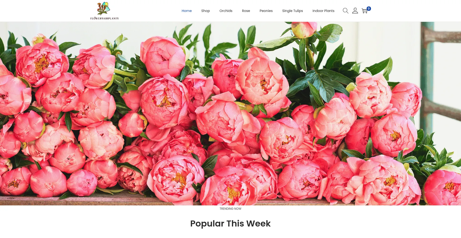 Flowersairplants.com