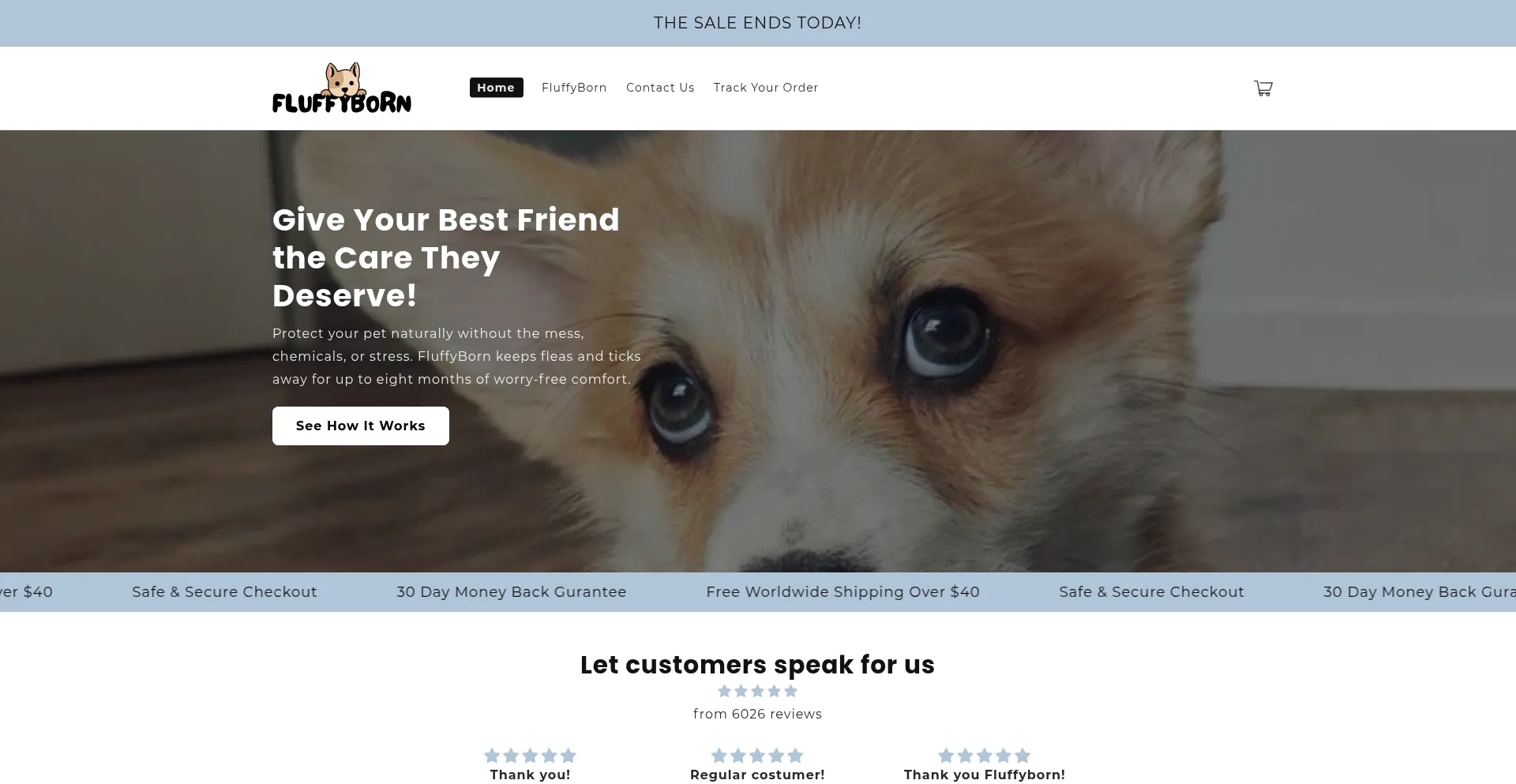 Website screenshot of Fluffyborn.com