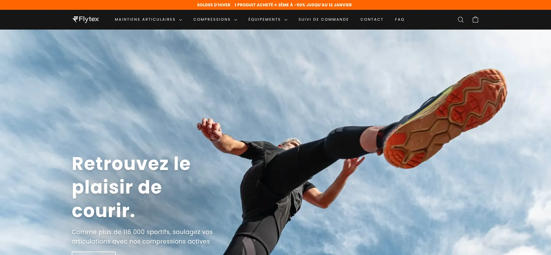 Website screenshot of Flytex.fr