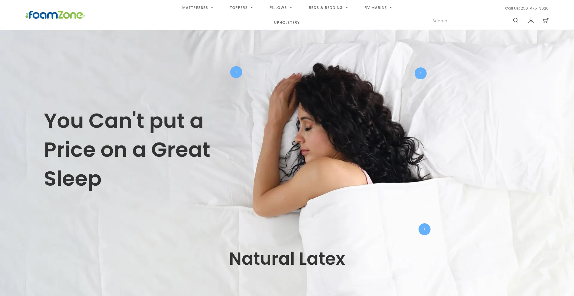 Website screenshot of Foamzone.ca