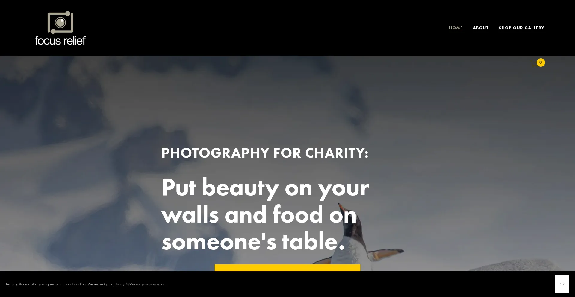 Focusrelief.com Screenshot