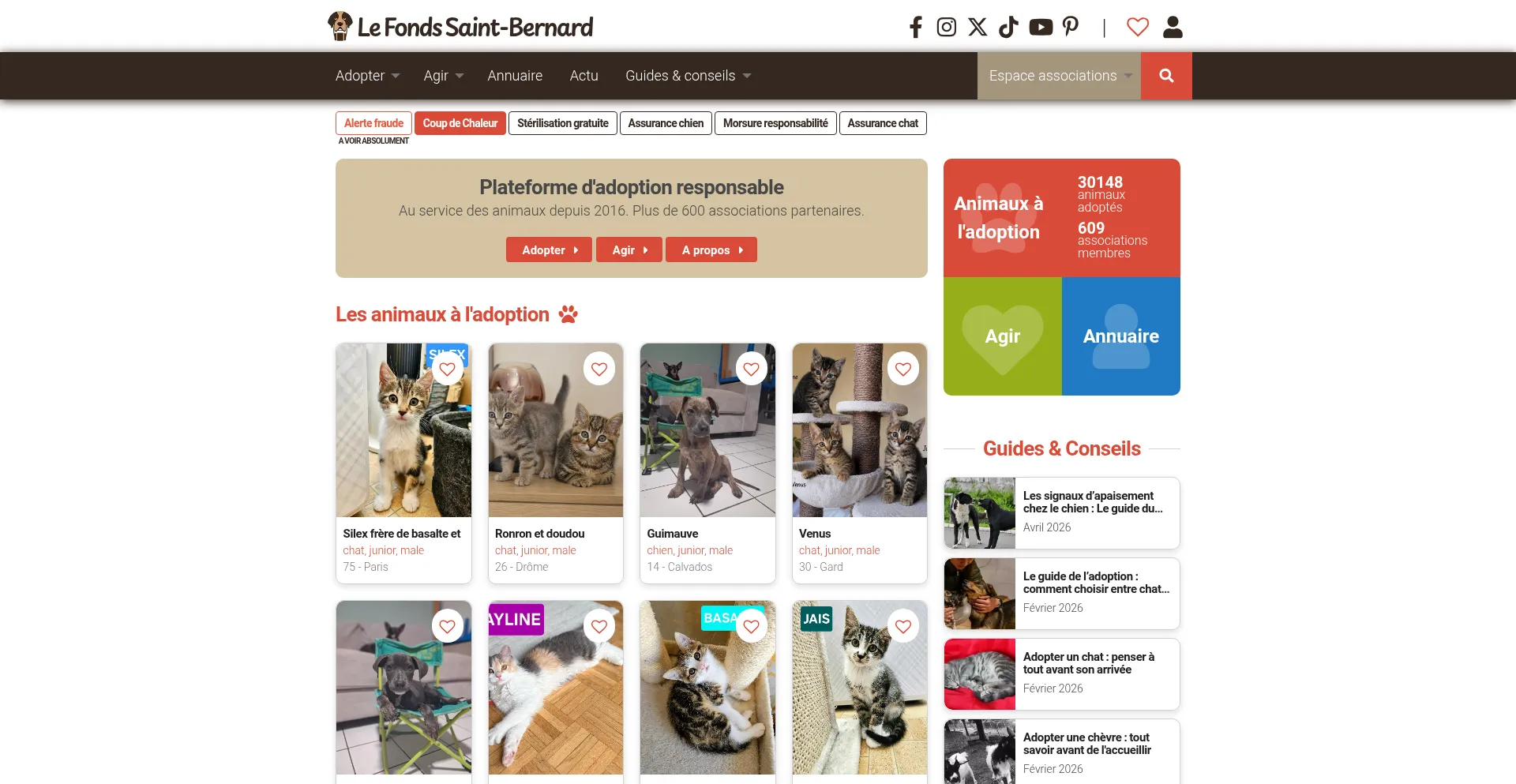 Fonds-saint-bernard.com