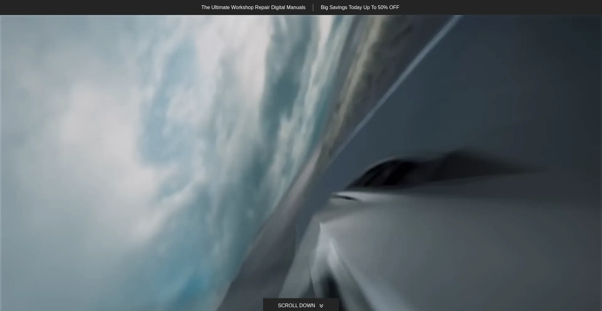 Website screenshot of Ford-workshop.com