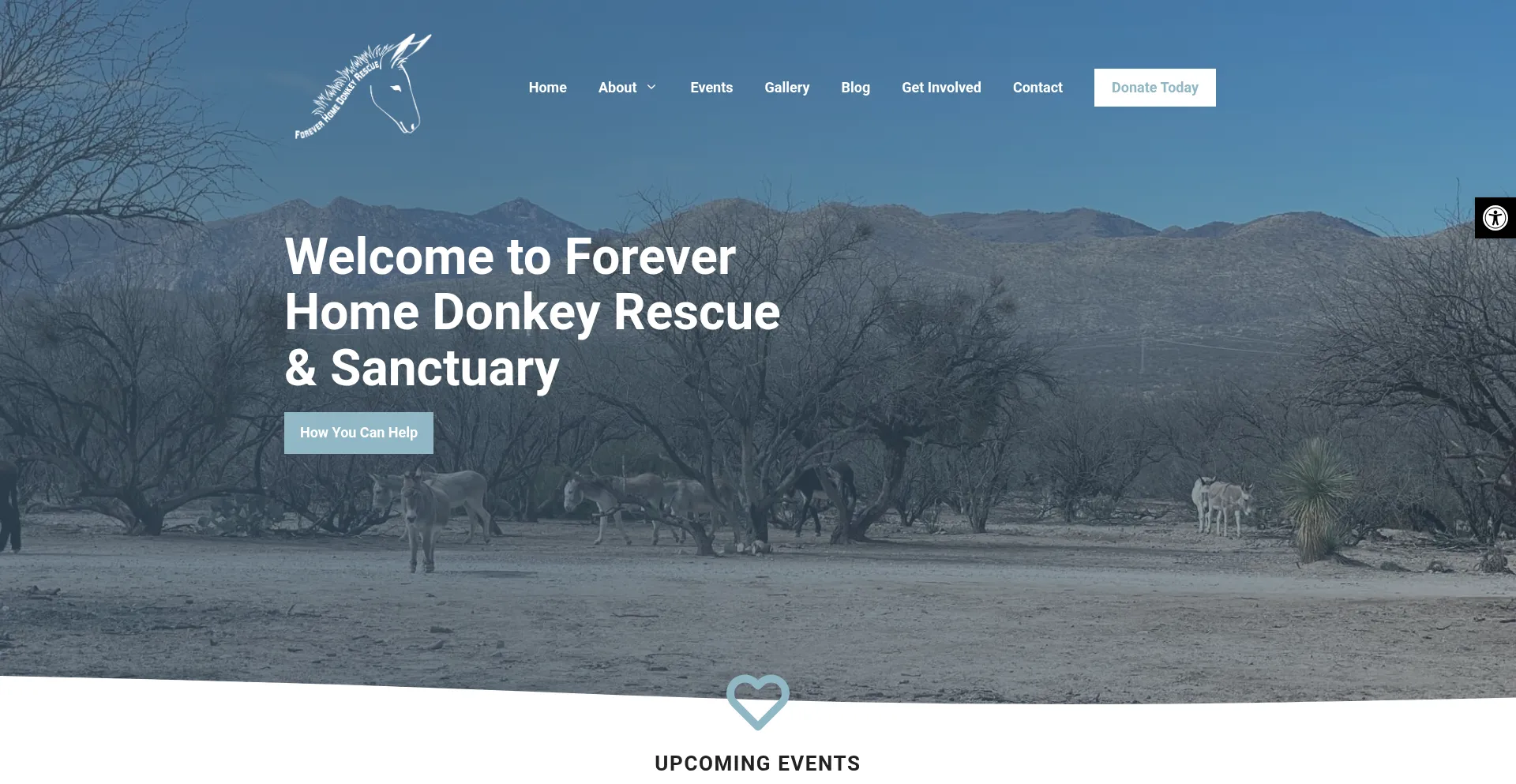 Foreverhomedonkeyrescue.com