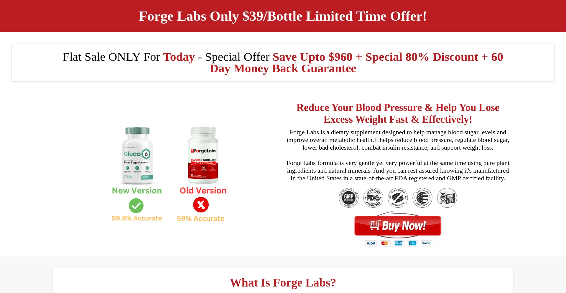 Website screenshot of Forgelabs.net