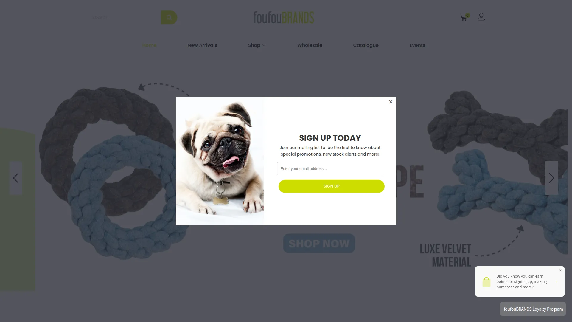 Foufoubrands.com