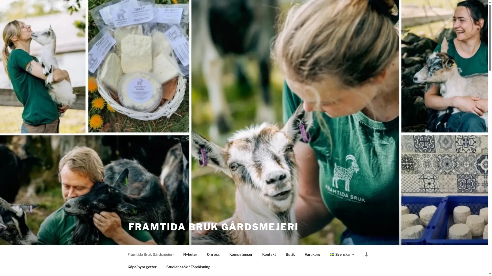 Framtidabruk.com