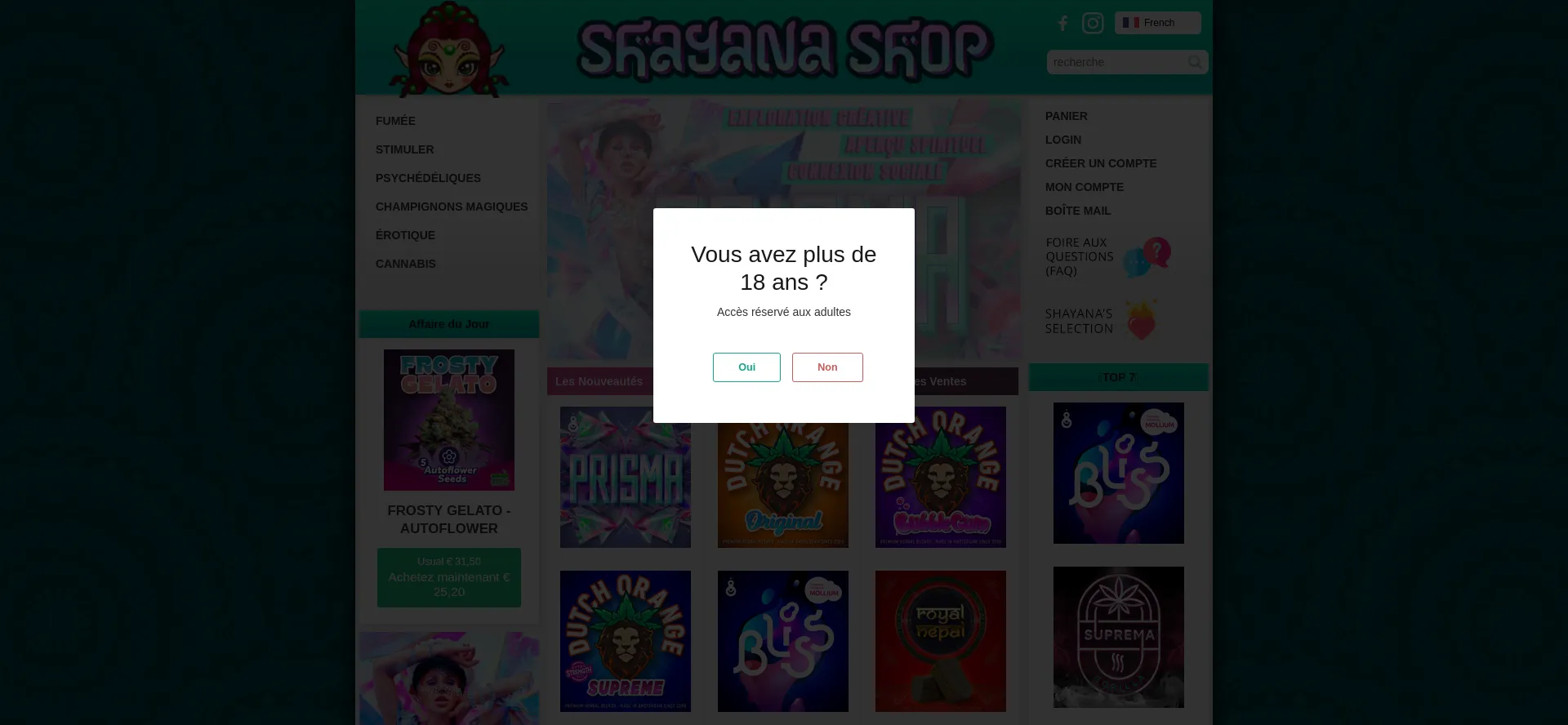 Website screenshot of French.shayanashop.com
