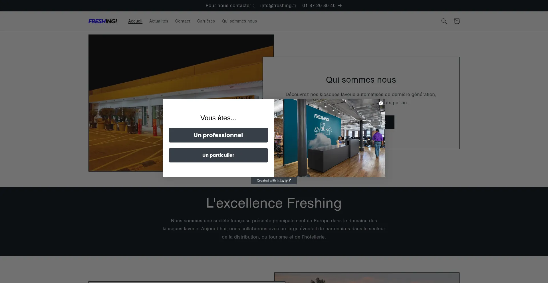Website screenshot of Freshing.fr