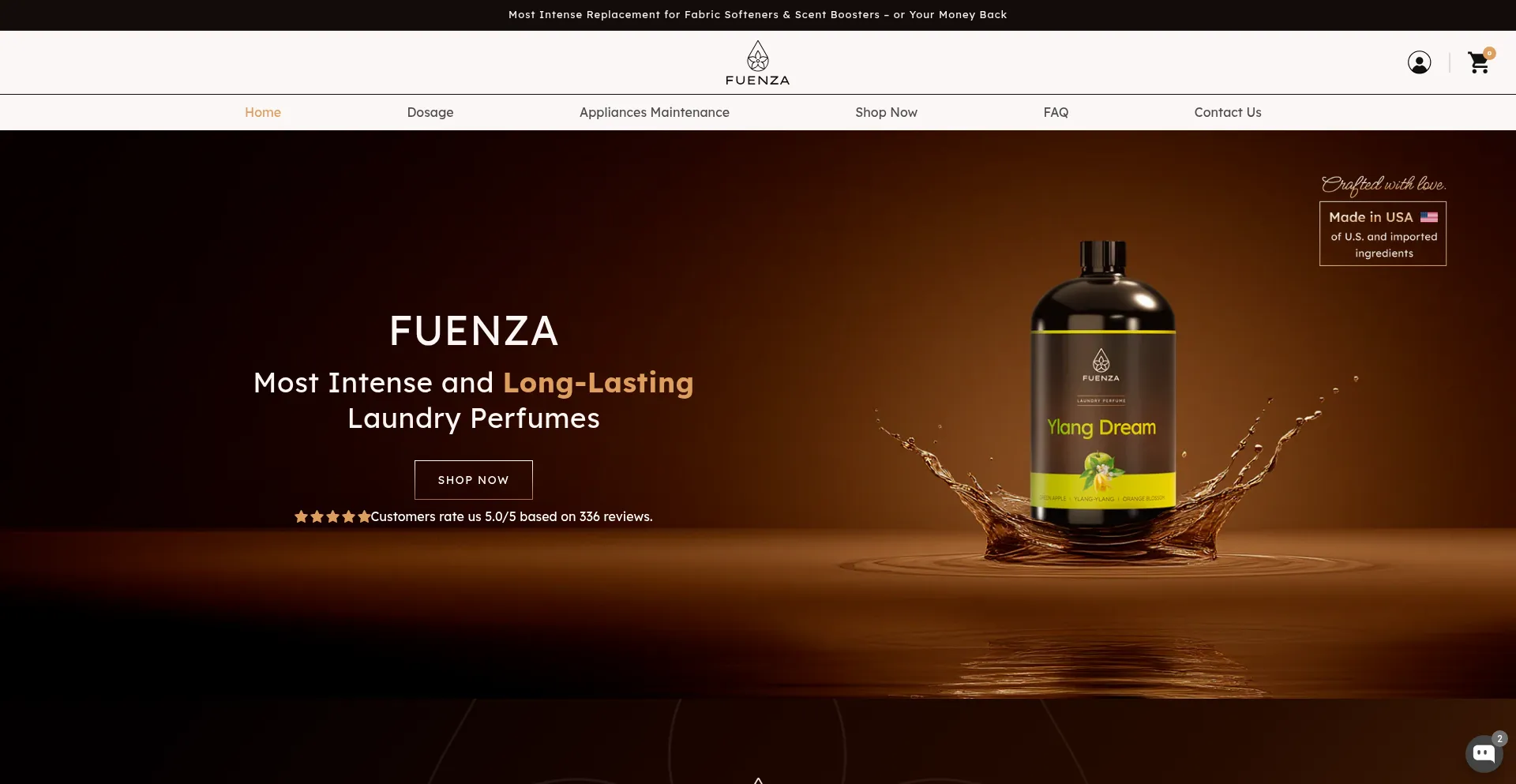 Website screenshot of Fuenza.com