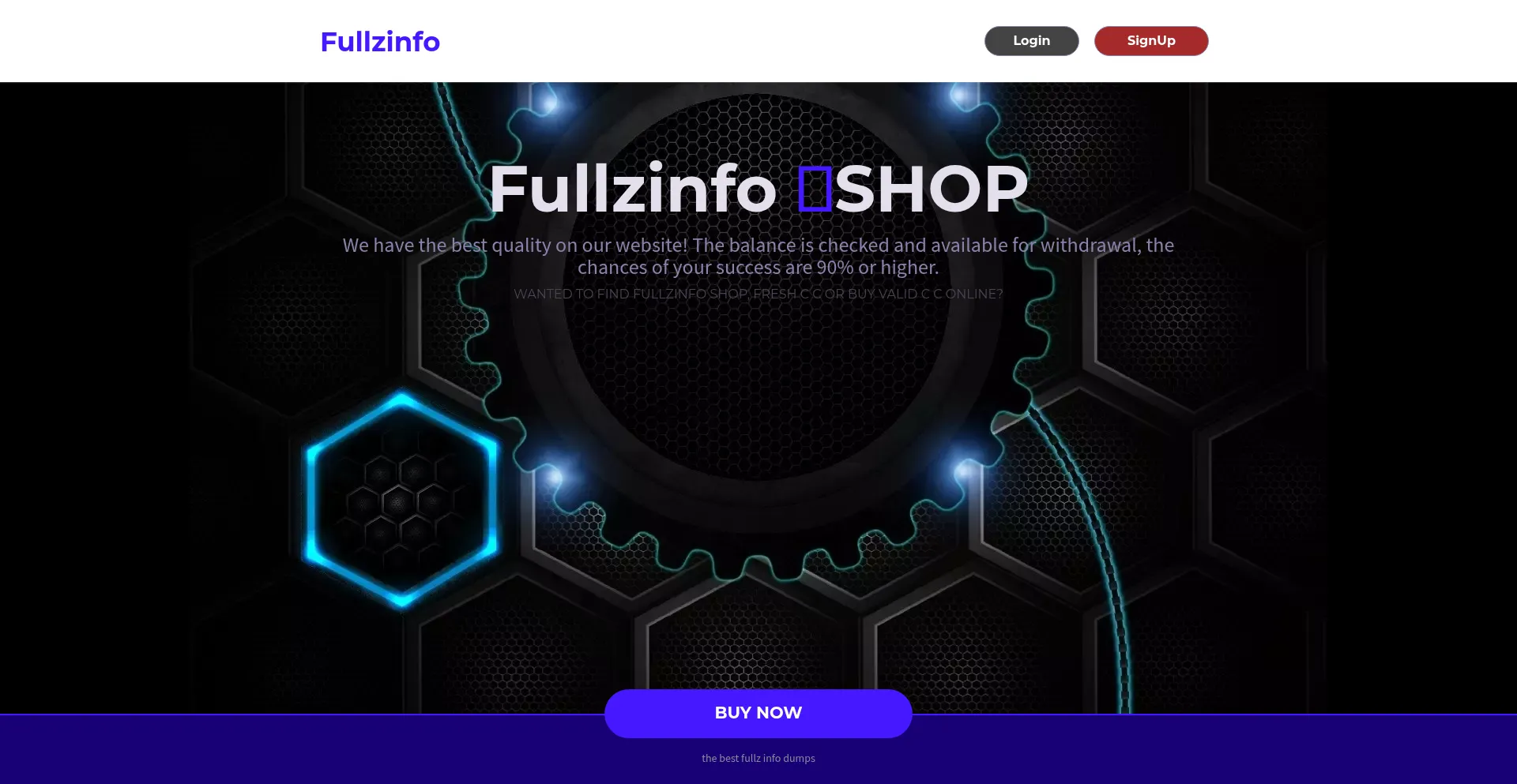 Website screenshot of Fullzinfoo.pw