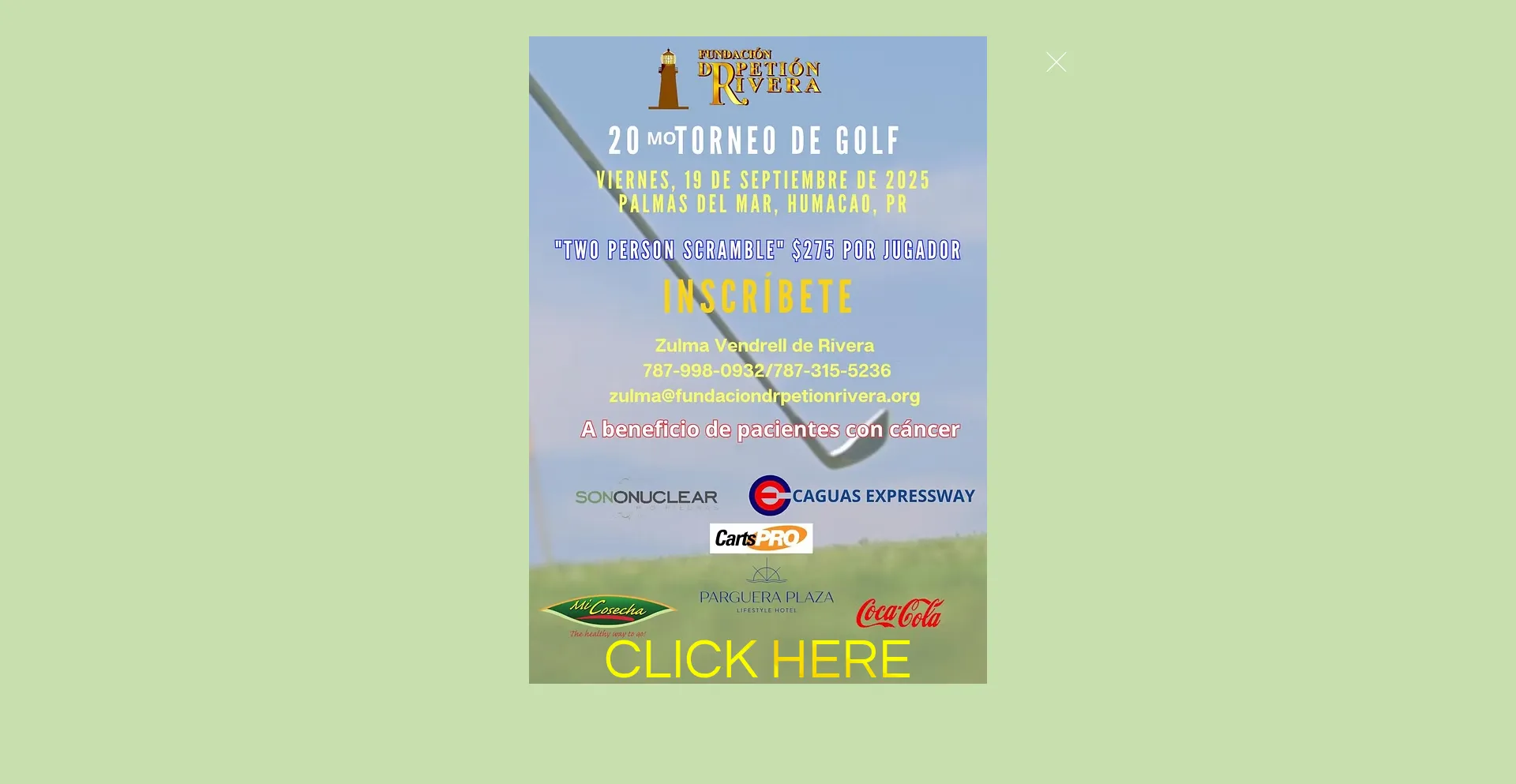 Fundaciondrpetionrivera.org 安全可靠吗？