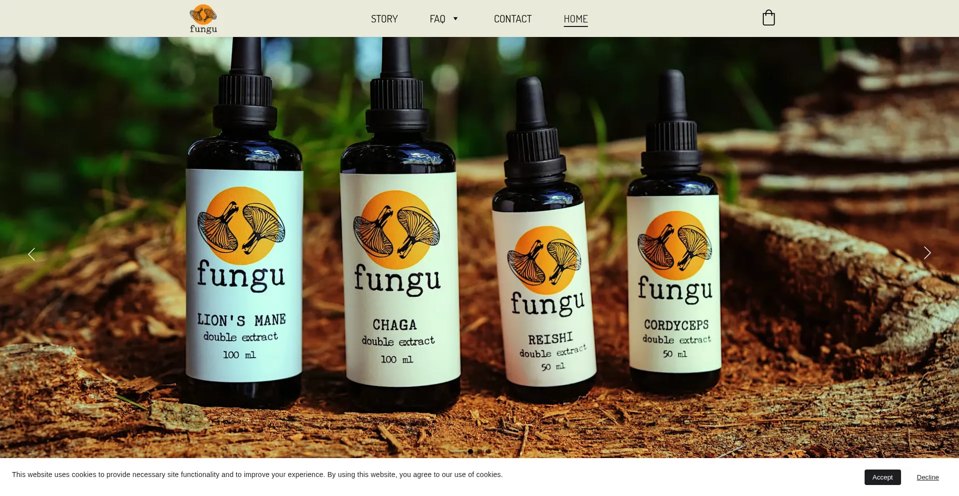 Website screenshot of Funguforest.com