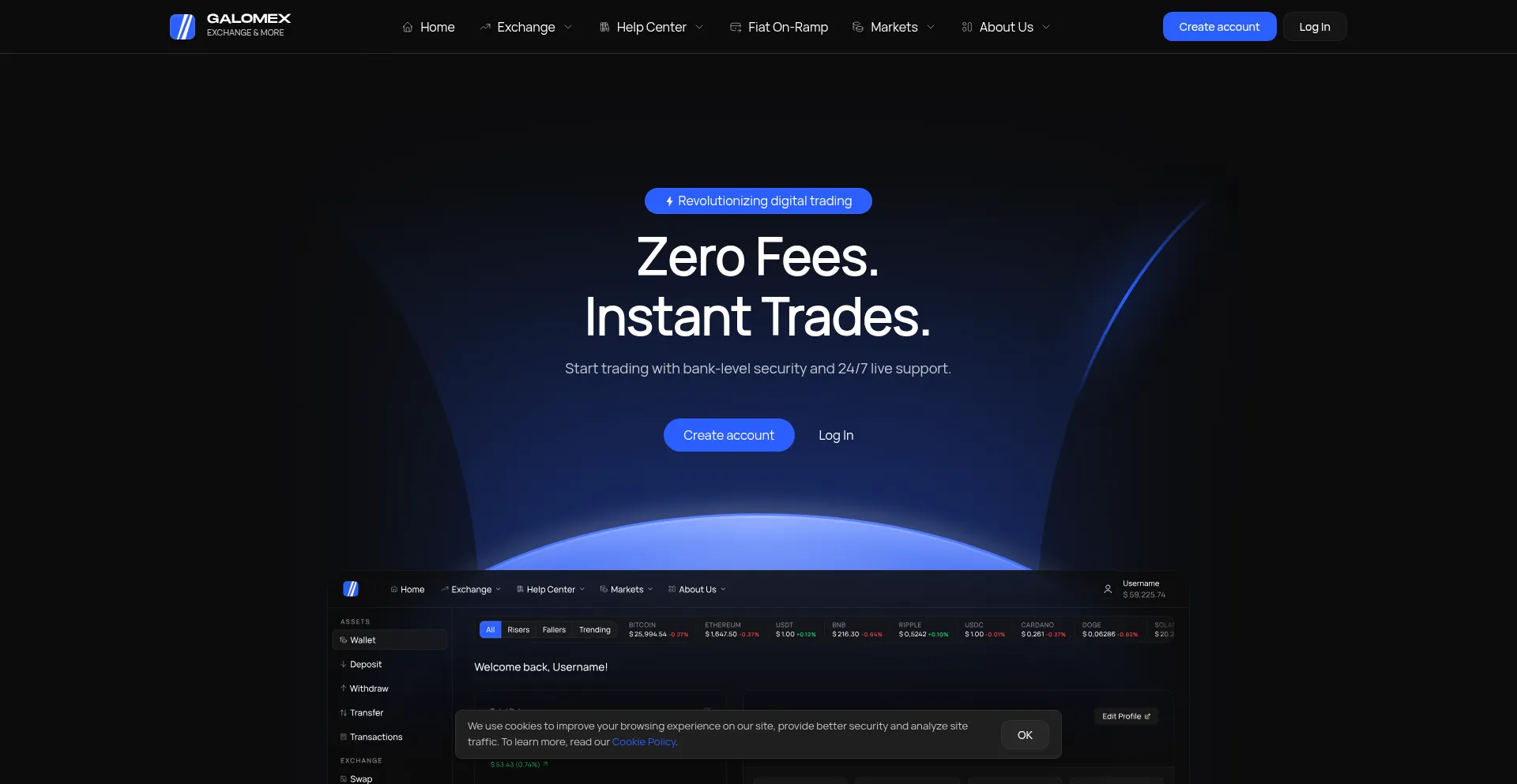 Website screenshot of Galomex.com