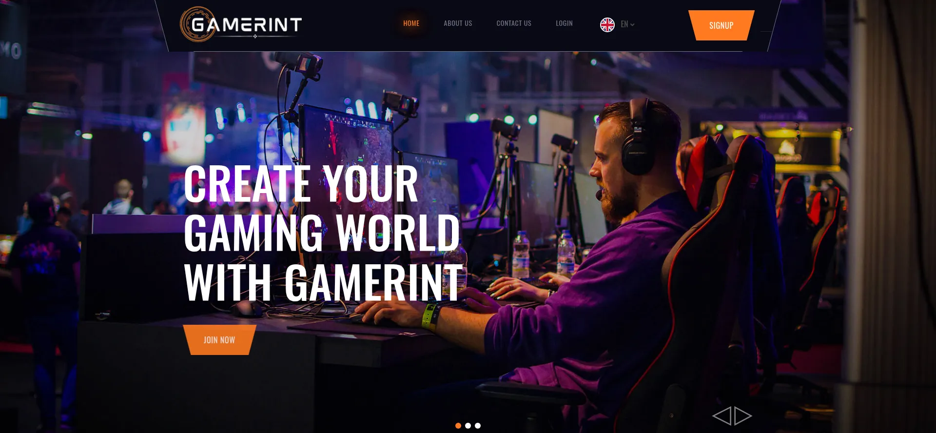 Gamerint.com