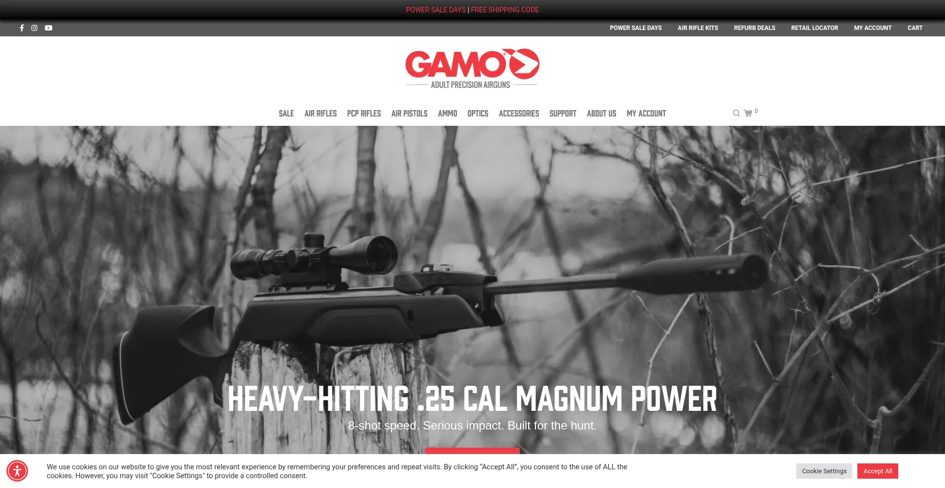 Website screenshot of Gamousa.com