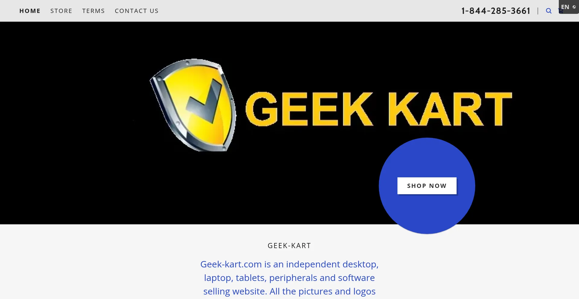 Website screenshot of Geek-kart.com