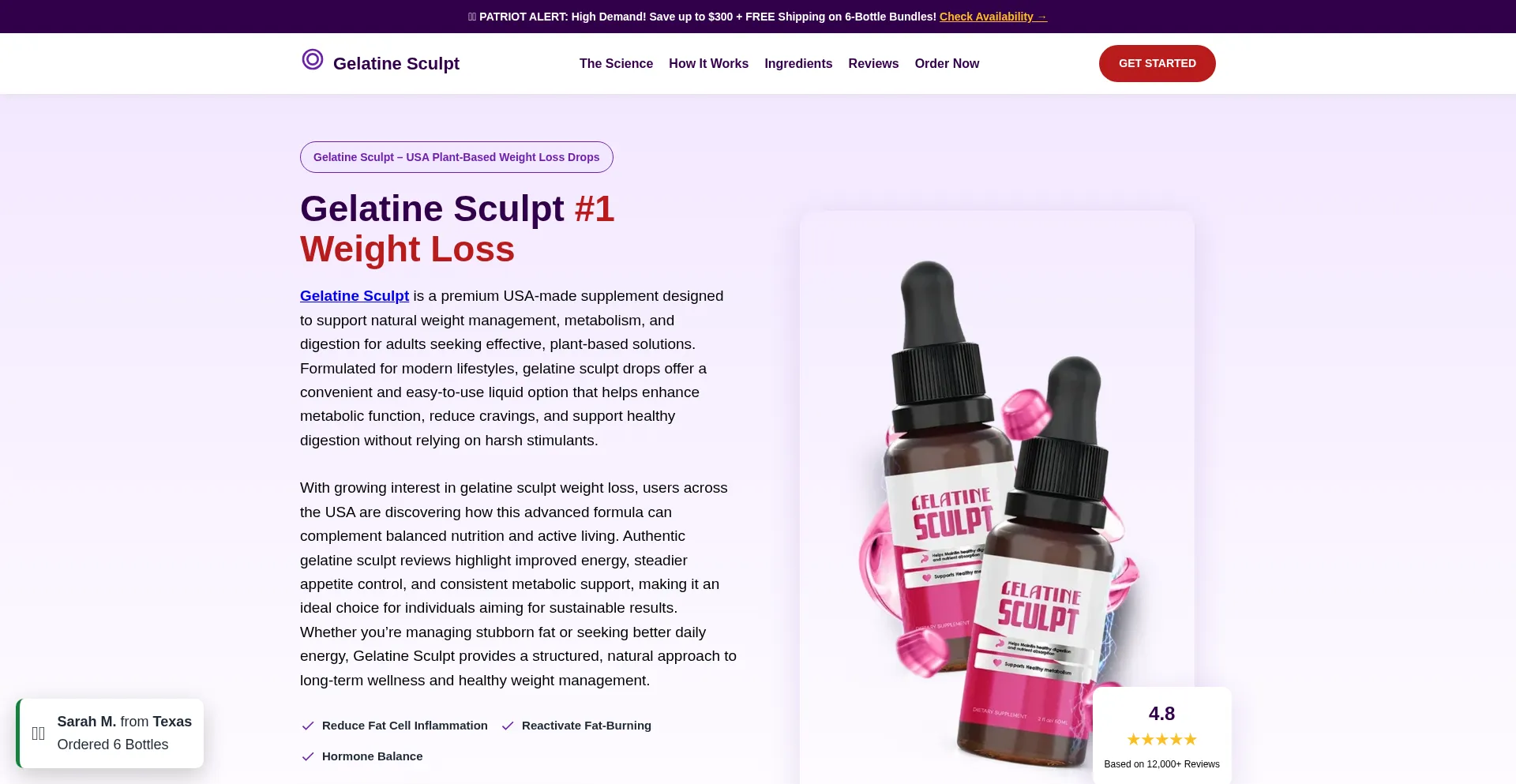 Gelatinesculpt-en.us