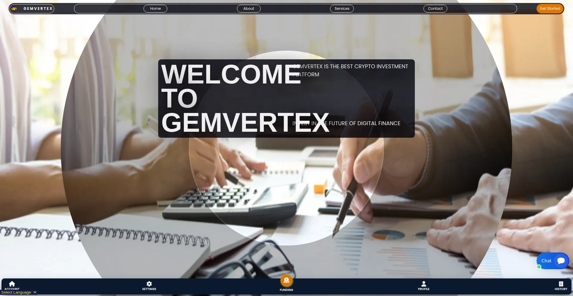 Website screenshot of Gemvertx.com