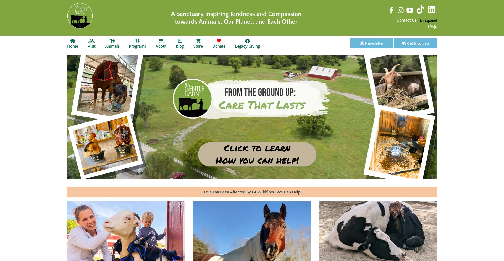 Website screenshot of Gentlebarn.org