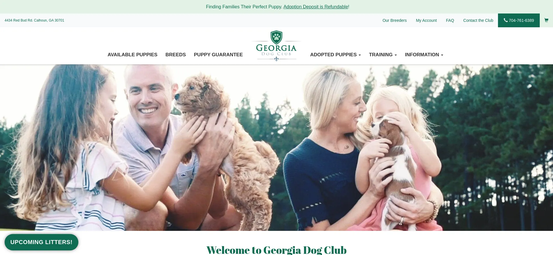 Georgiadogclub.com