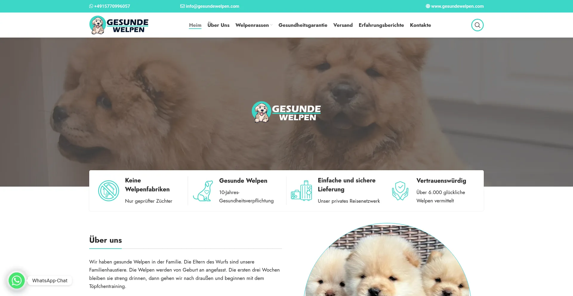 Gesundewelpen.com 安全可靠吗？