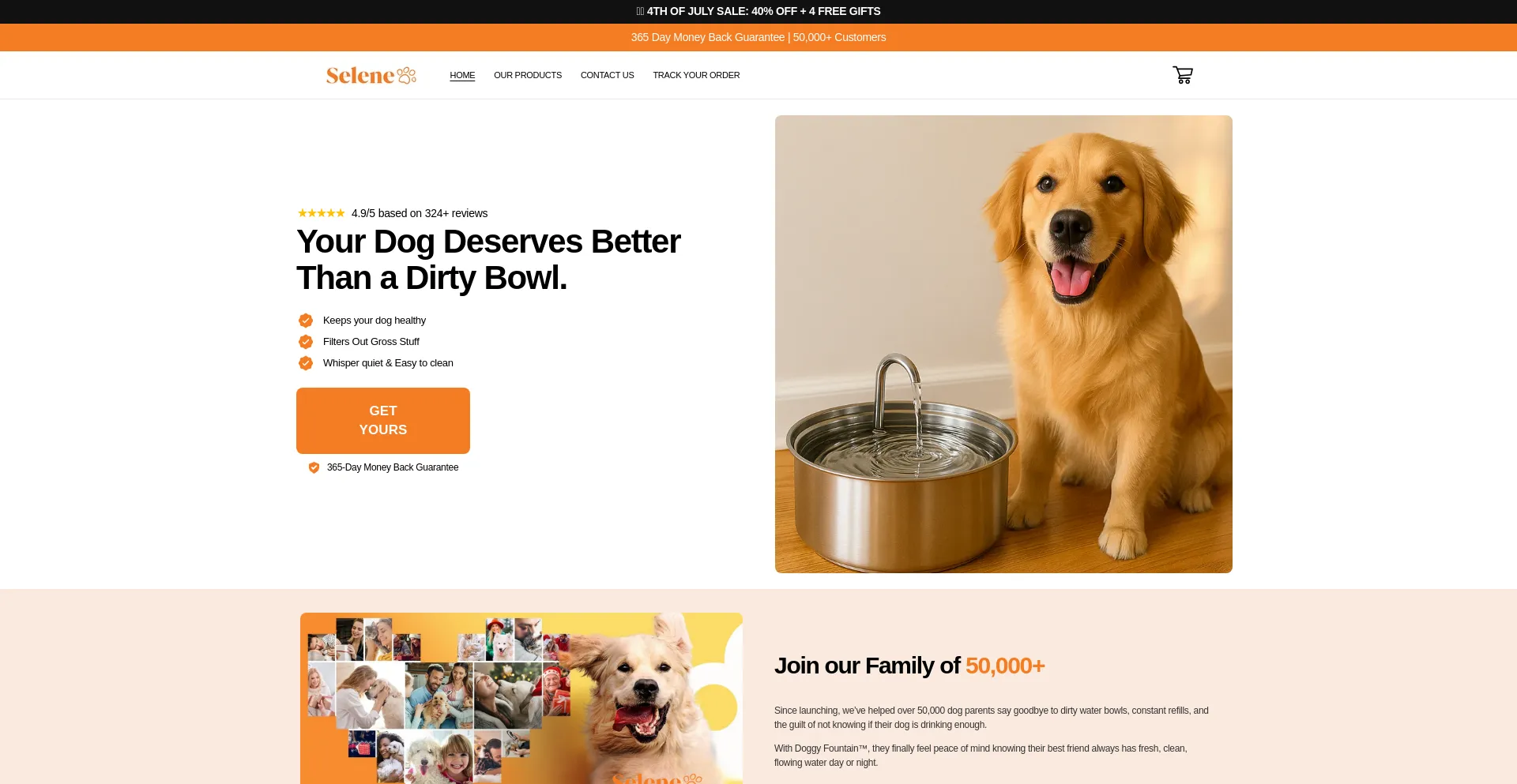 Website screenshot of Get-selene.com