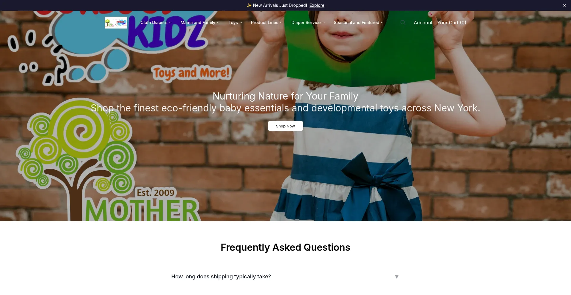 Getcuriouskidztoys.shop