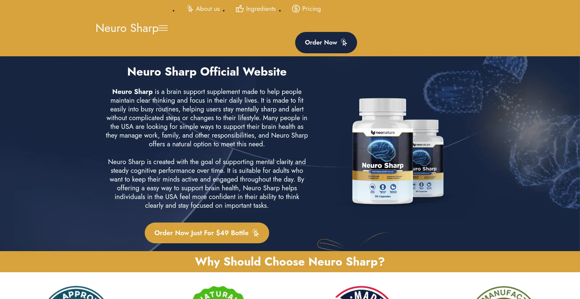 Website screenshot of Getneurosharp.us