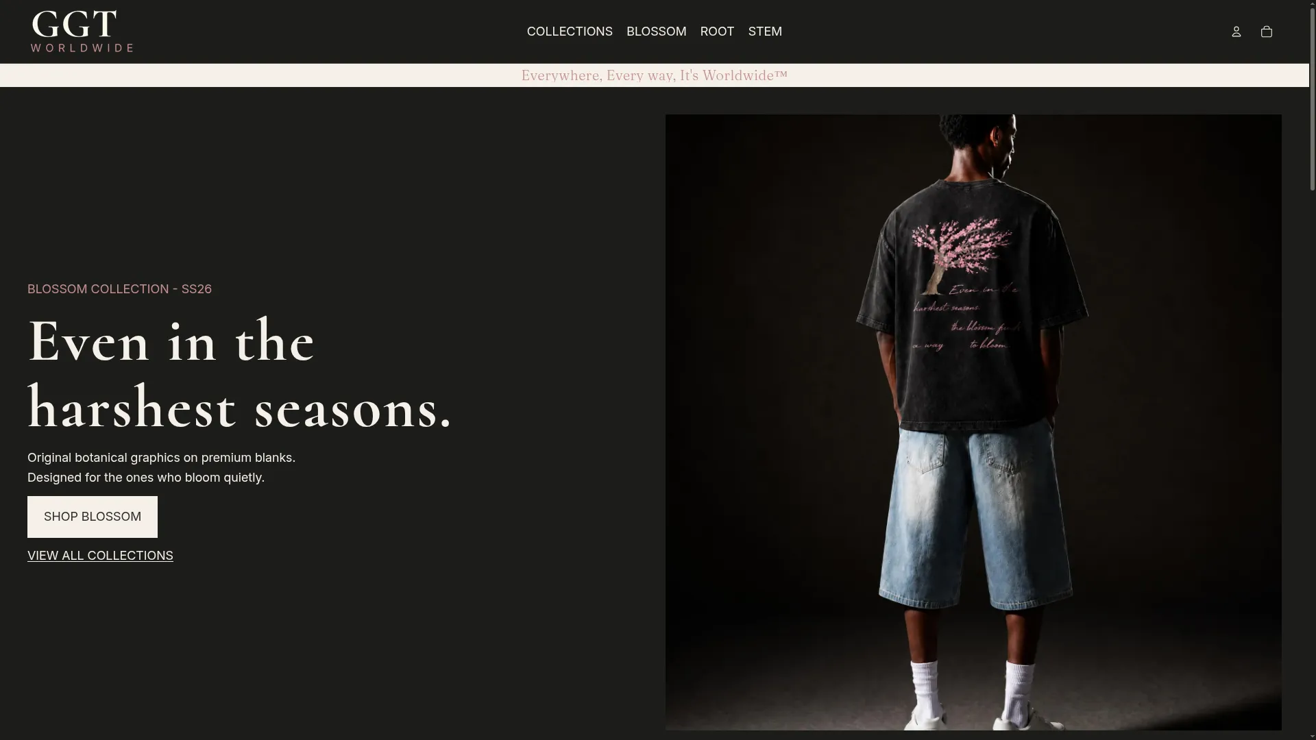 Ggt-worldwide.com