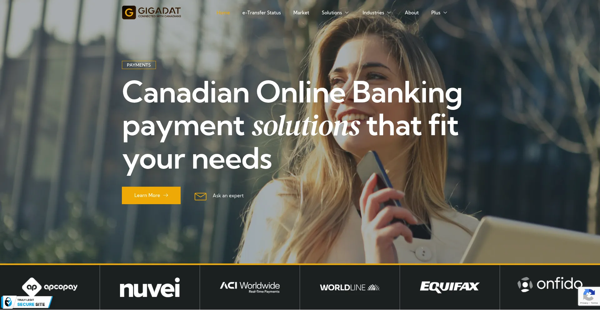 Gigadatsolutions.com Screenshot