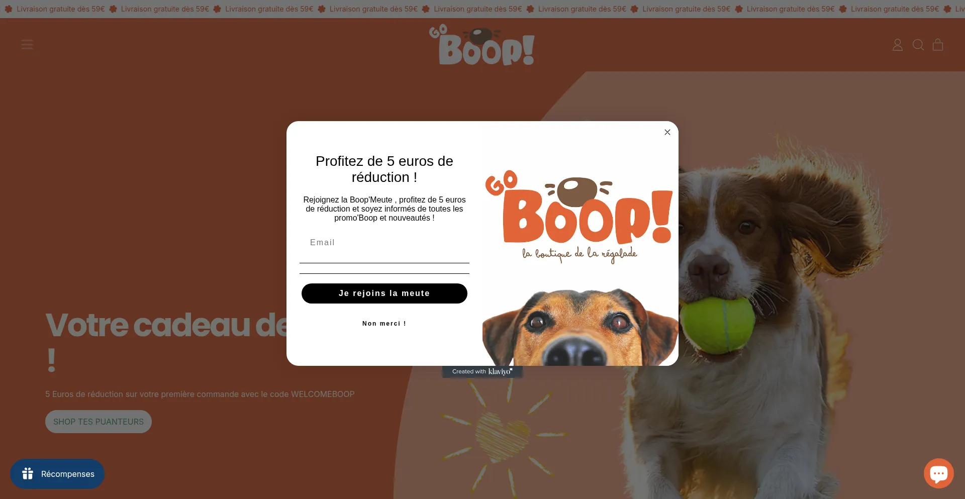 Website screenshot of Go-boop.fr