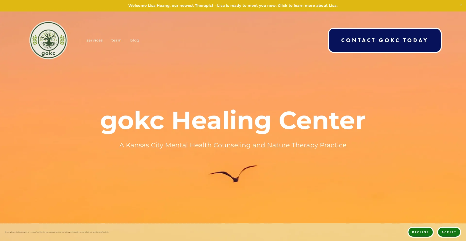 Website screenshot of Gokcnature.com