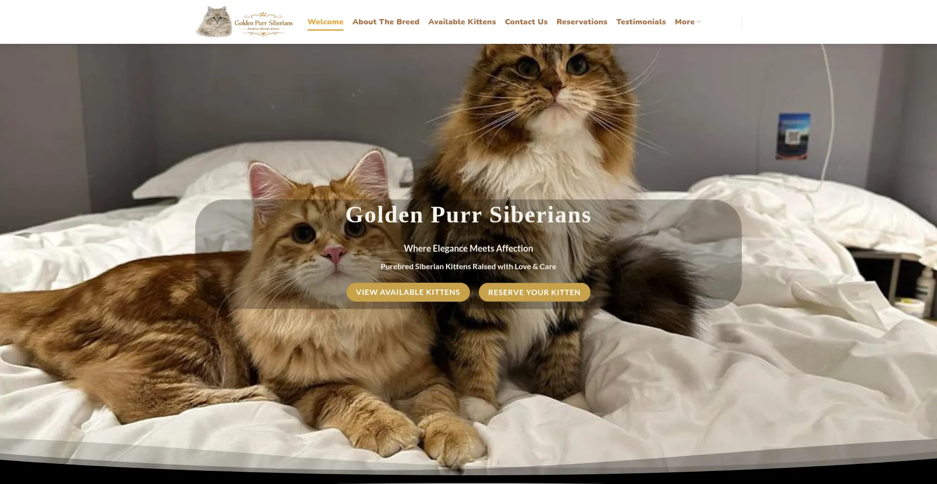 Goldenpurrsiberians.com