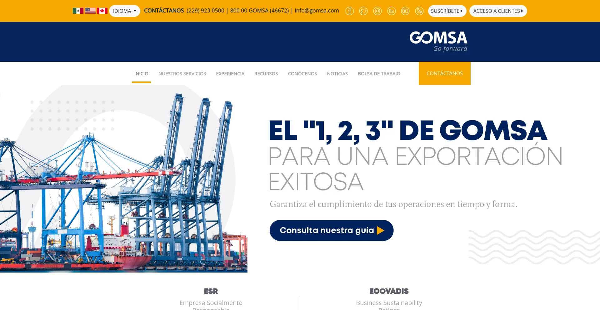 Website screenshot of Gomsa.com
