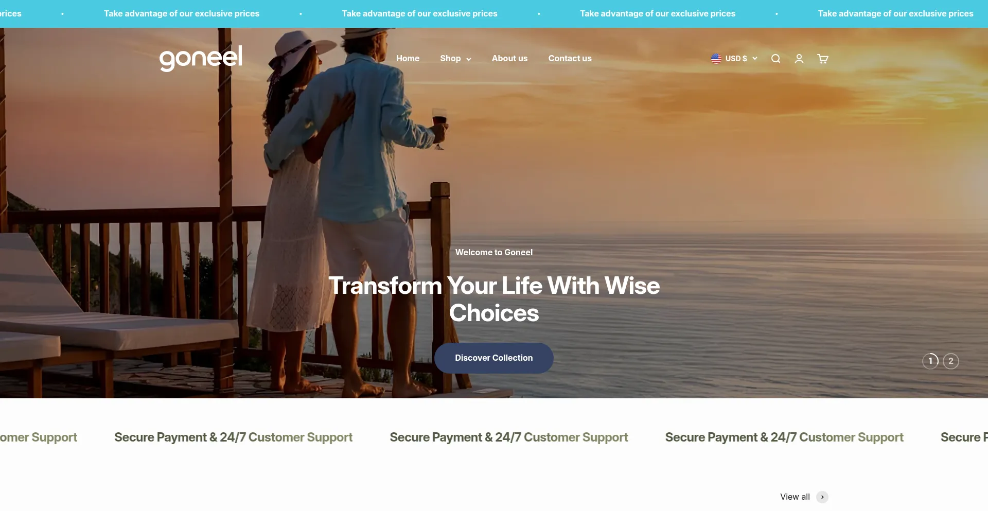 Website screenshot of Goneel.com