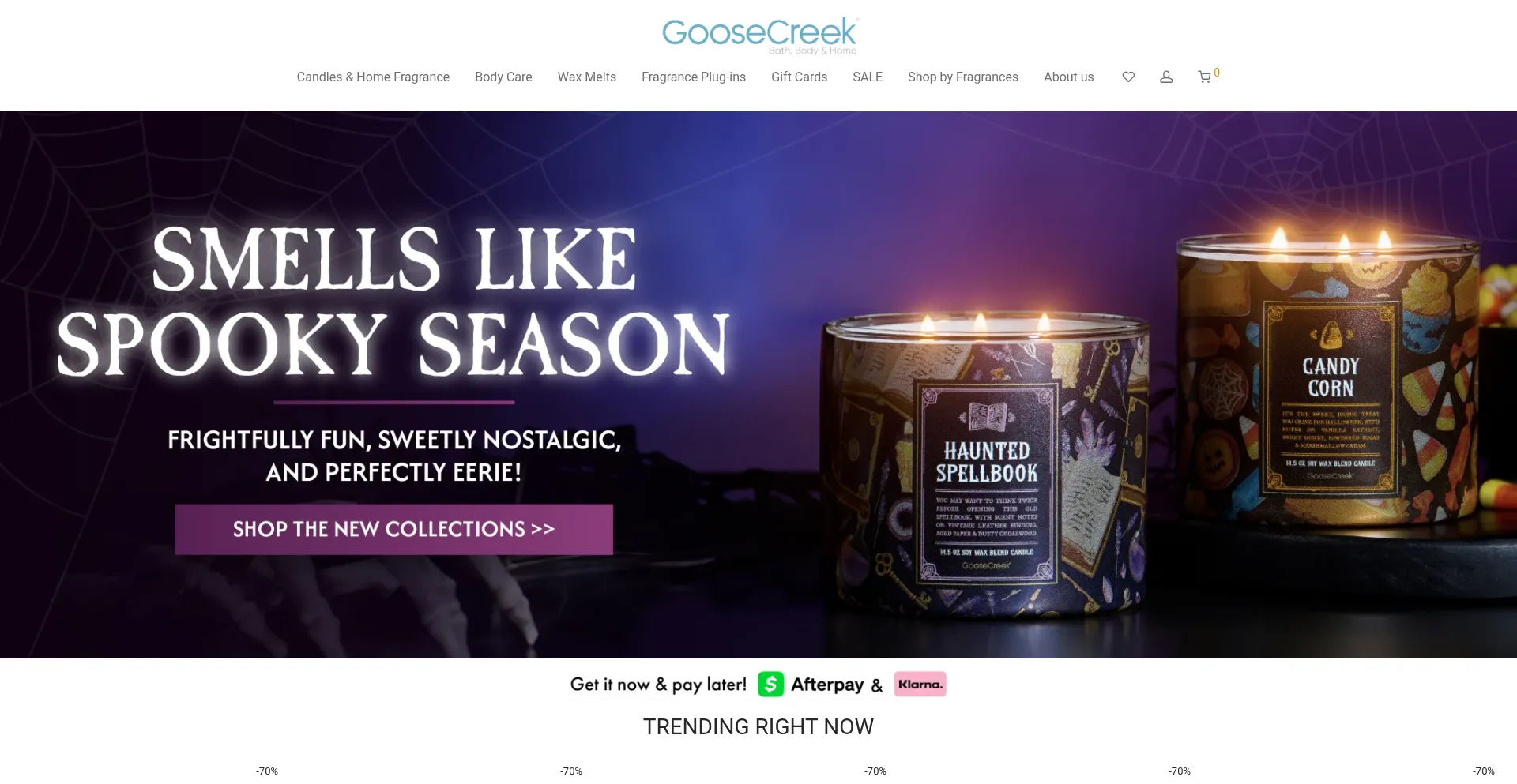 Website screenshot of Goosecrceekcandlesus.com