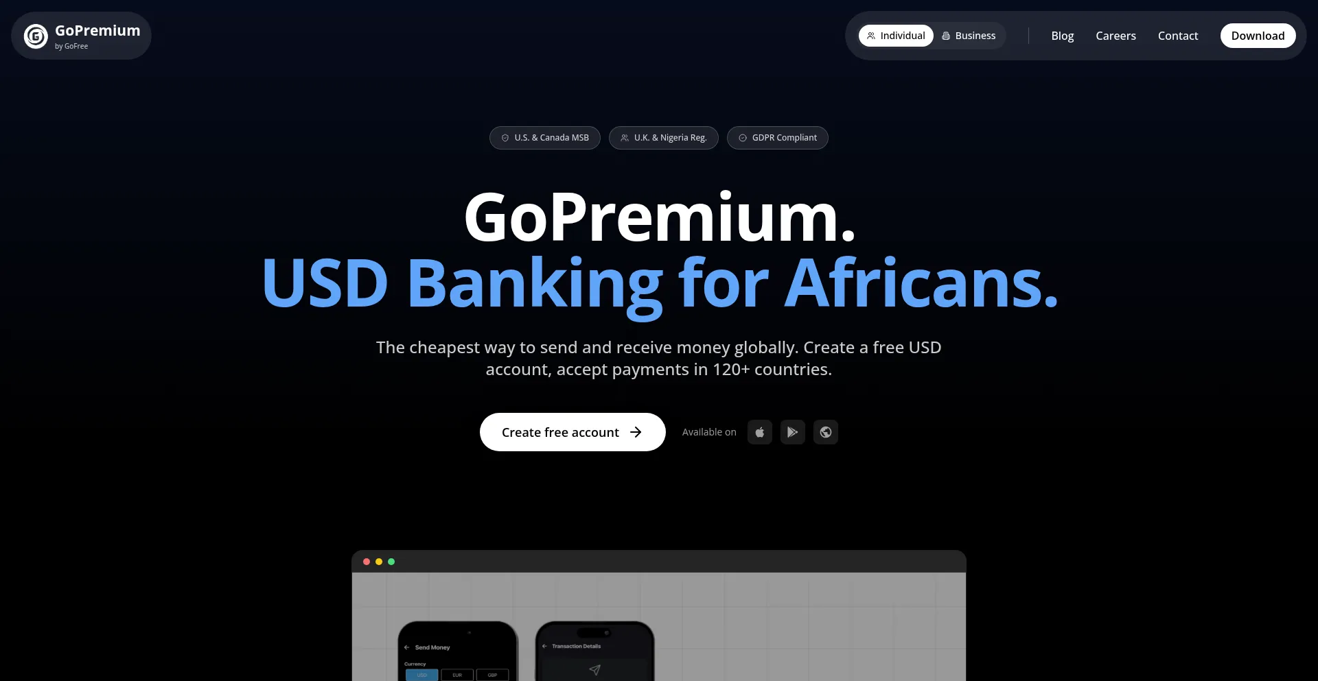 Website screenshot of Gopremium.africa