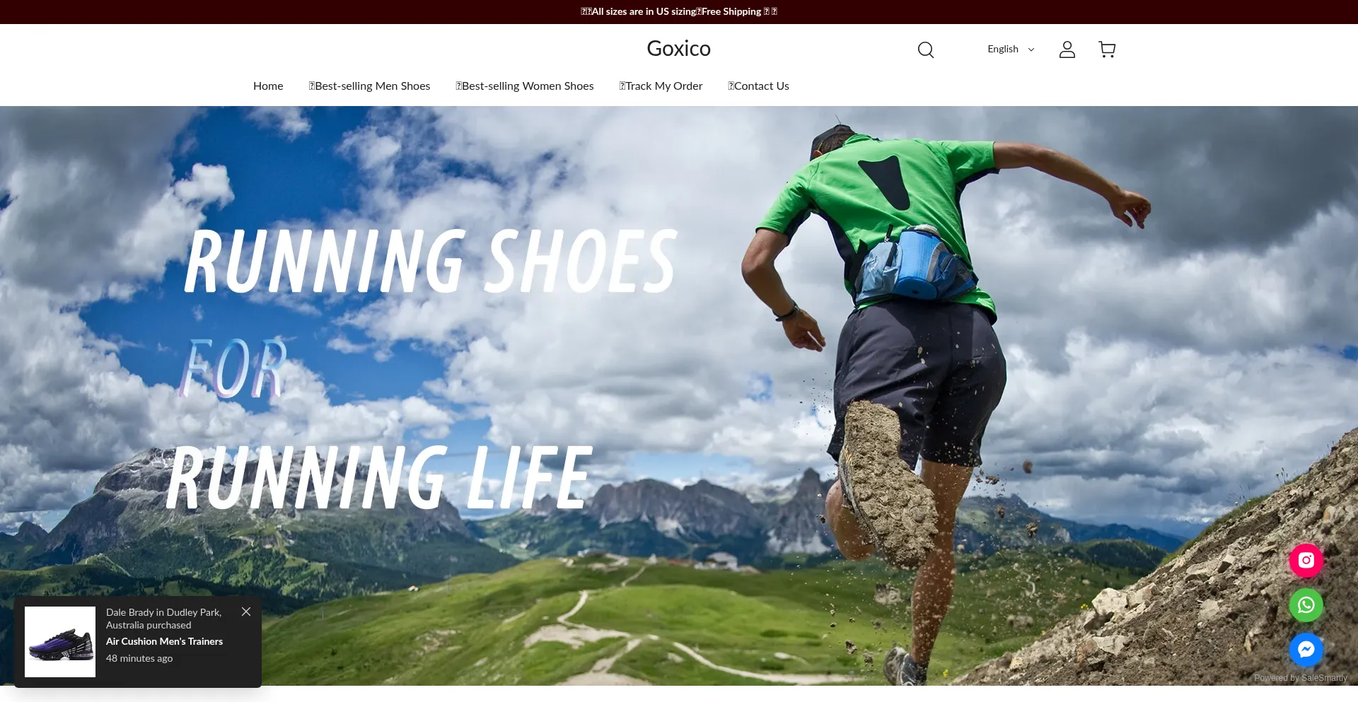 Website screenshot of Goxico.com