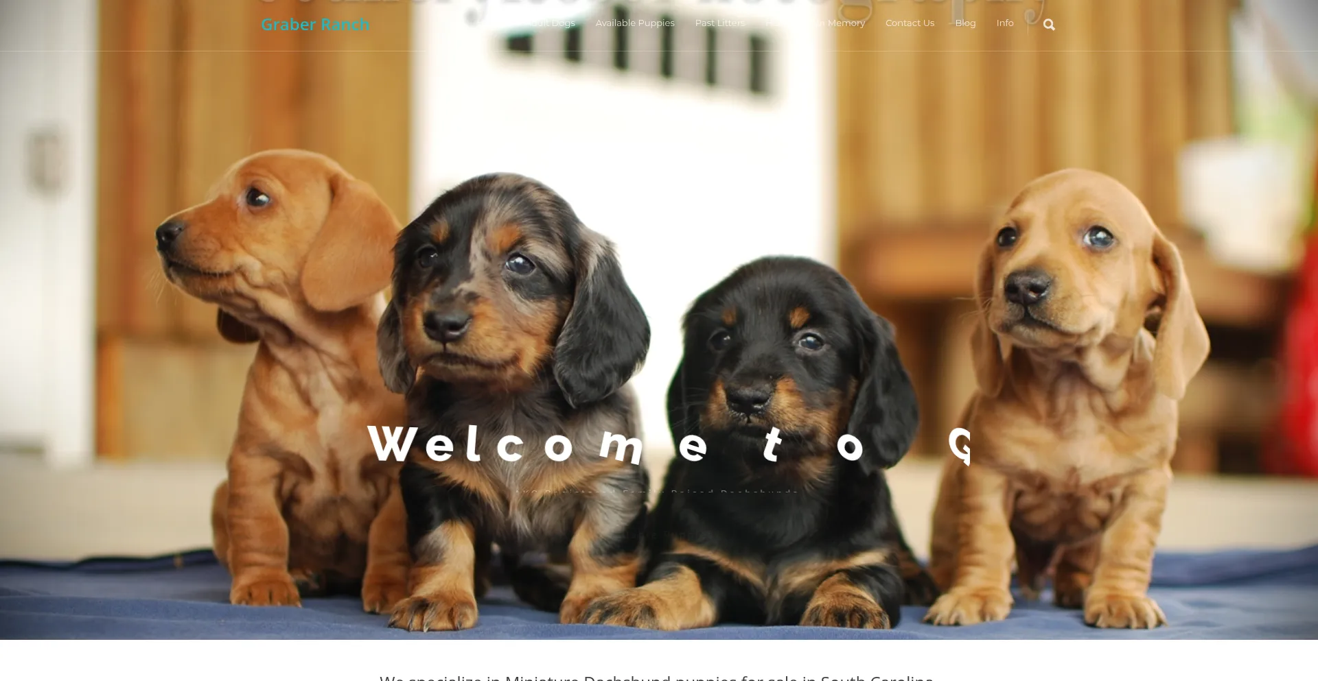 Graberanch.com Screenshot