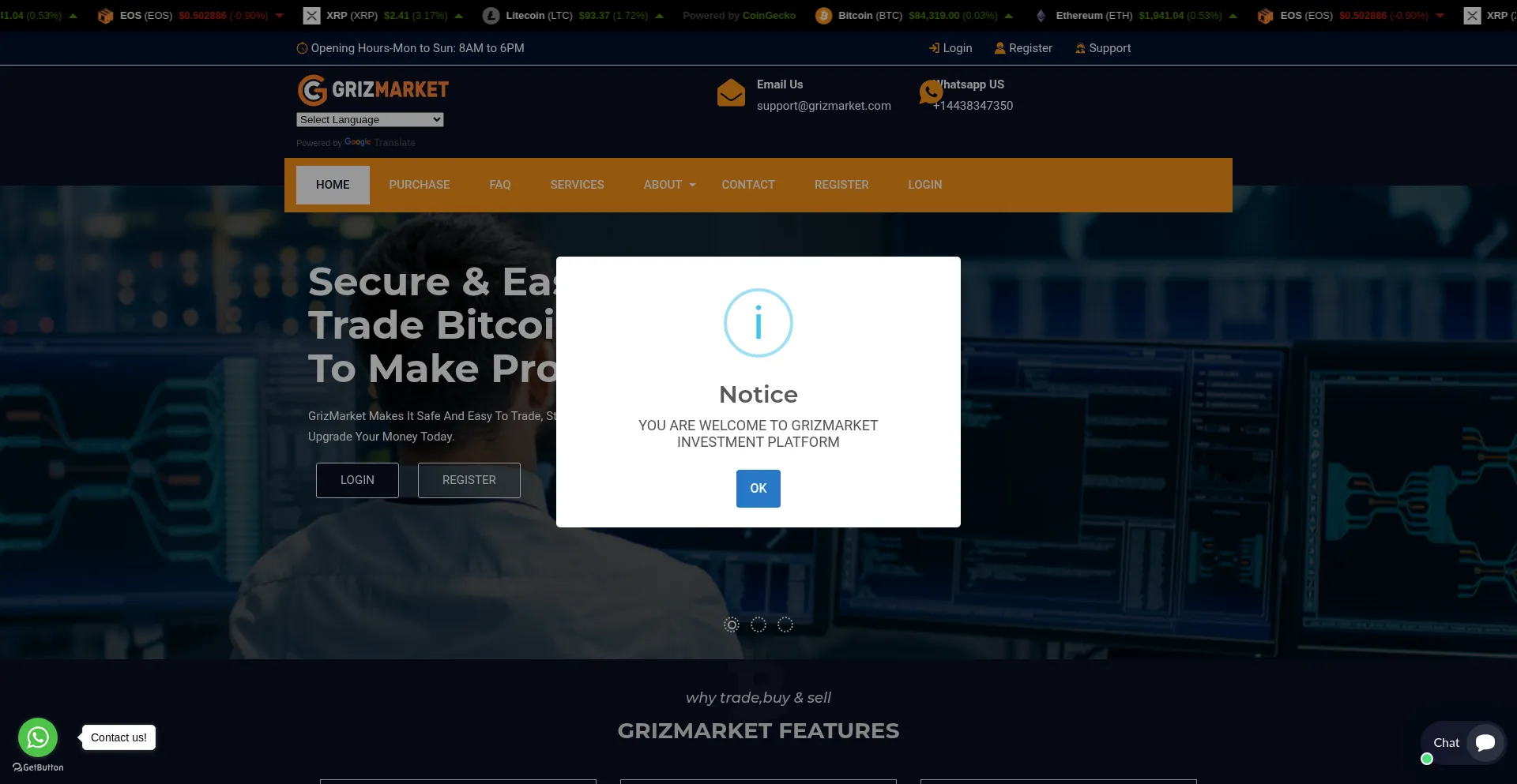 Website screenshot of Grizmarket.com