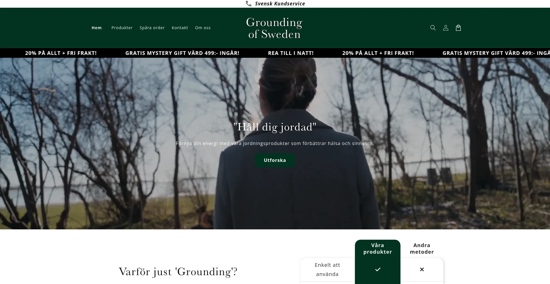 Website screenshot of Groundingofsweden.se