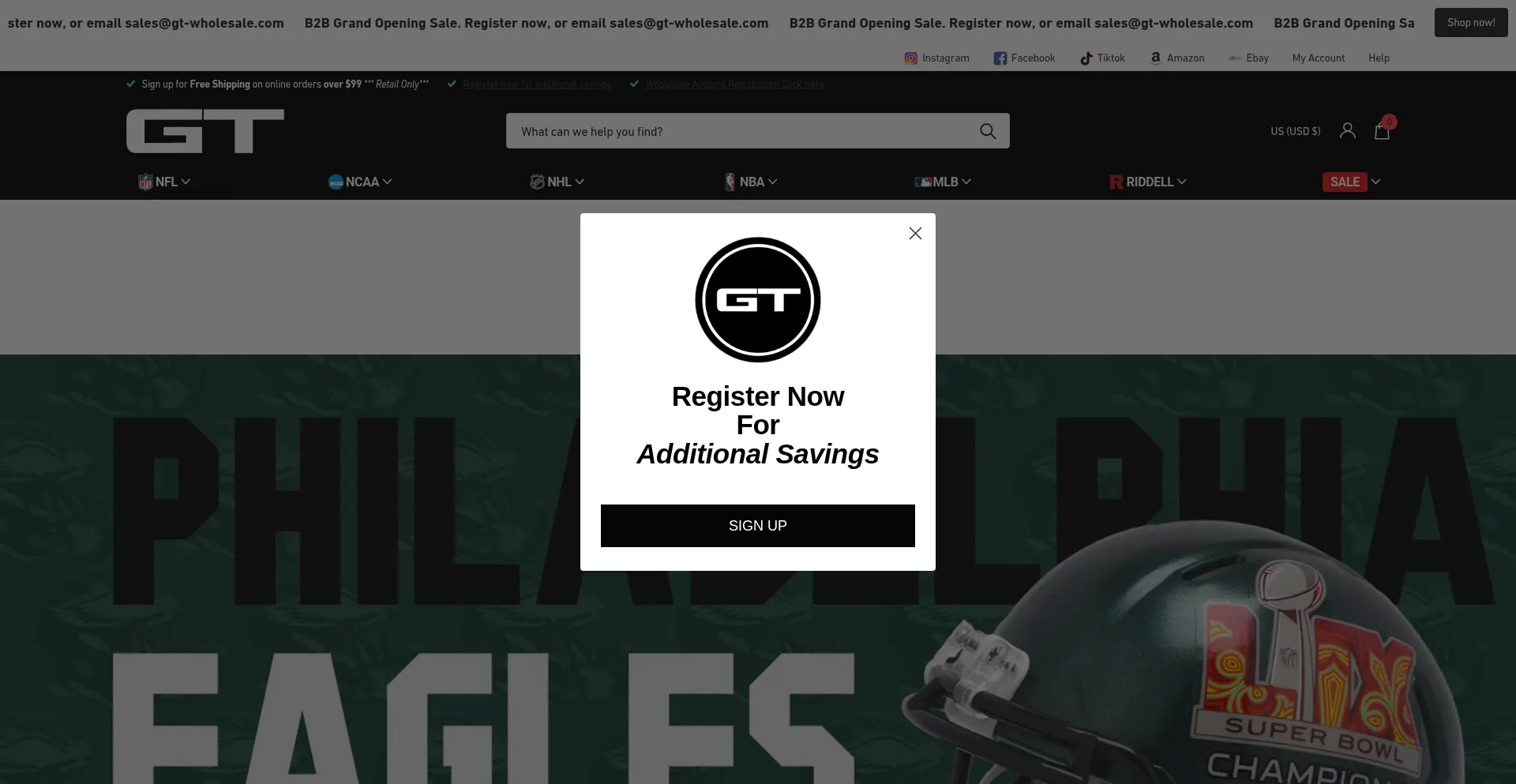 Website screenshot of Gt-wholesale.com