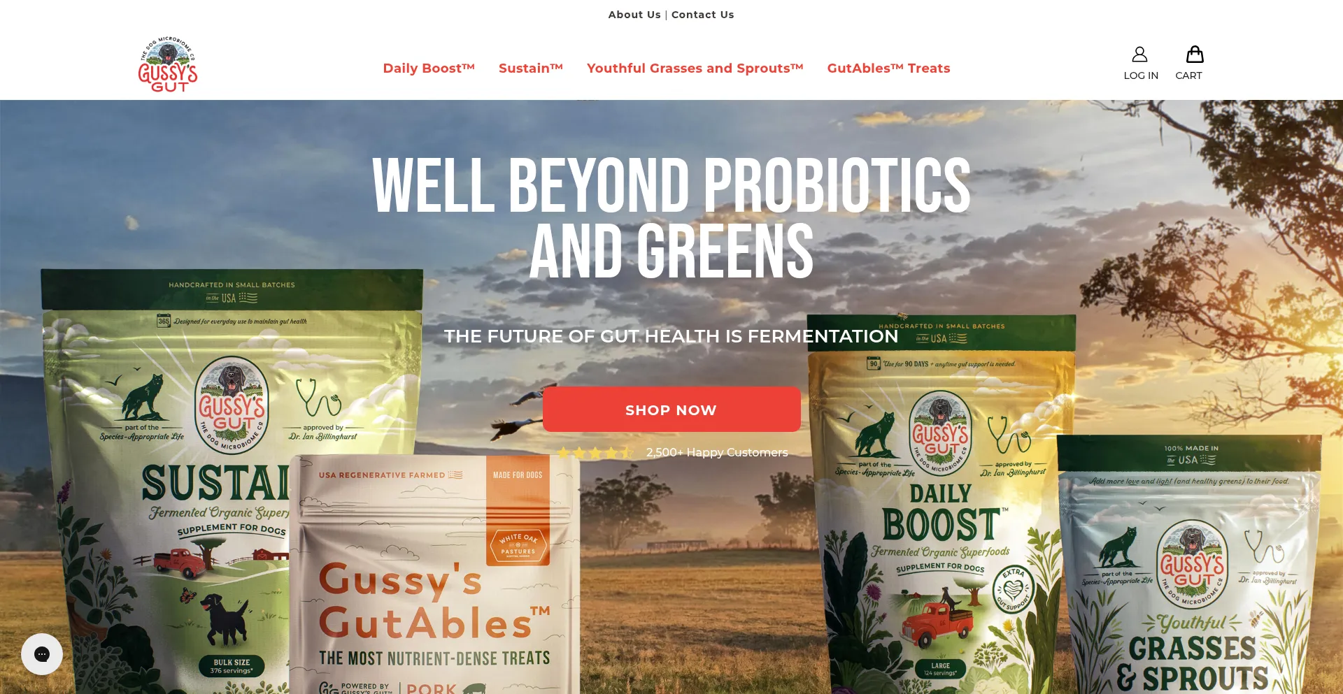 Website screenshot of Gussysgut.com