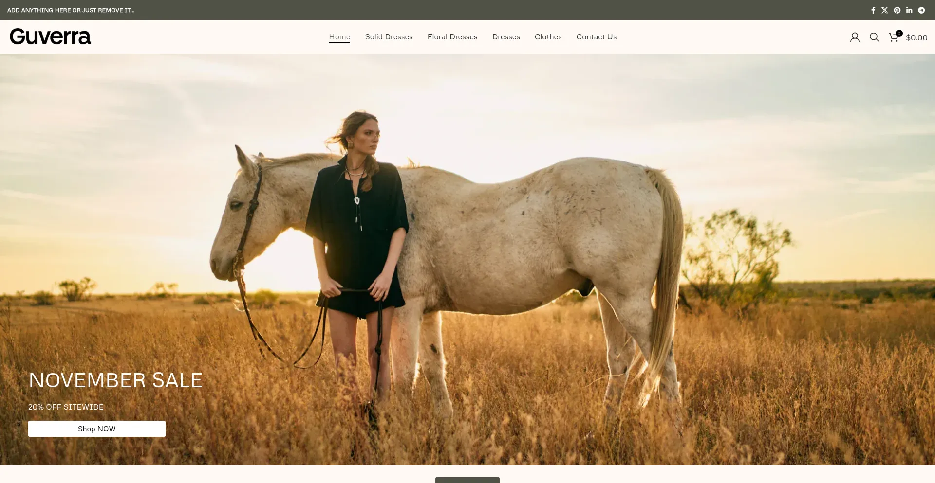 Website screenshot of Guverra.shop